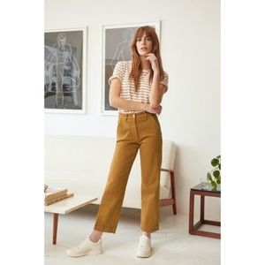 Everlane High Waisted Straight Leg Crop Pant — Size 6 Golden Brown